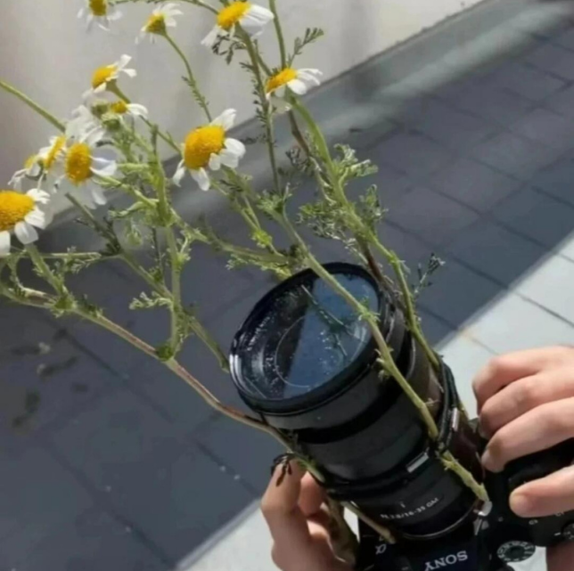 Fotografie & Videografie